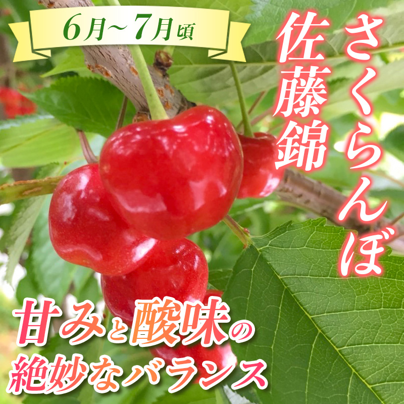 【定期便3回】☆んま～い山形☆山形フルーツ売れ筋3種定期便(さくらんぼ佐藤錦／白桃／シャインマスカット) FY25-474