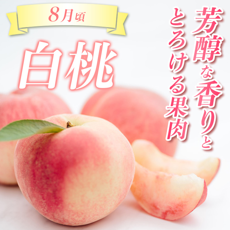 【定期便3回】☆んま～い山形☆山形フルーツ売れ筋3種定期便(さくらんぼ佐藤錦／白桃／シャインマスカット) FY25-474