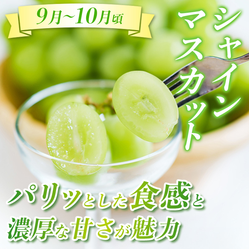 【定期便3回】☆んま～い山形☆山形フルーツ売れ筋3種定期便(さくらんぼ佐藤錦／白桃／シャインマスカット) FY25-474