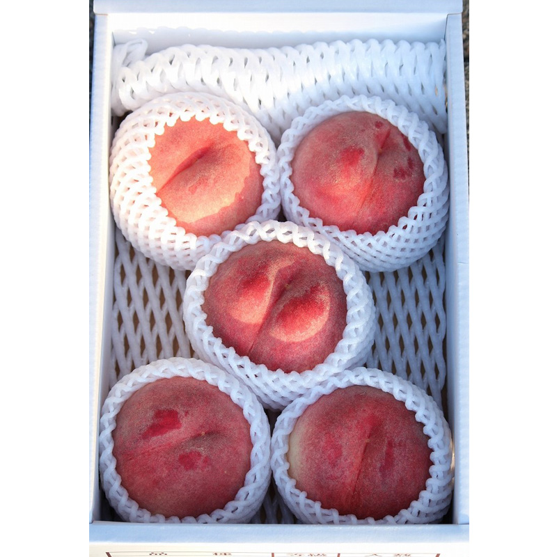 山形県産白桃おどろき 約1.5kg[硬めの桃]【令和8年産先行予約】FS25-148