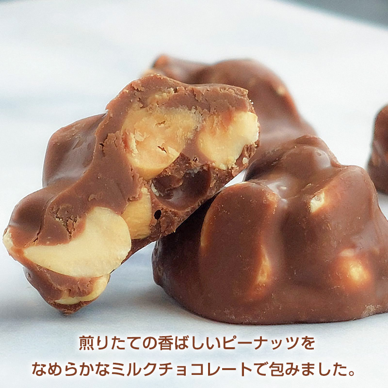 【でん六】ピーナッツチョコ 40g FY25-501