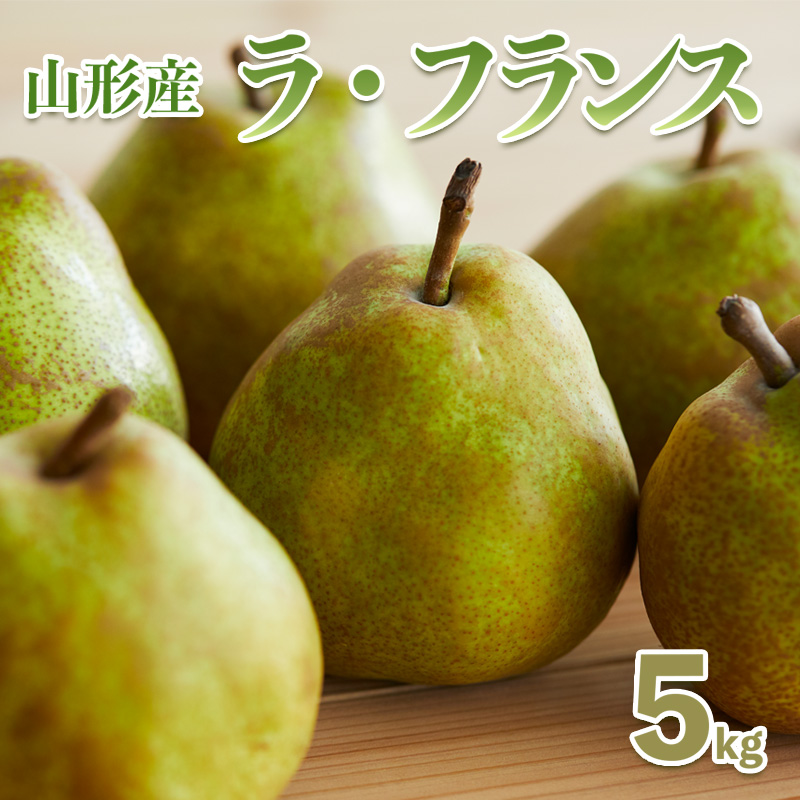 西洋なしの女王「山形ラフランス」5kg【令和8年産先行予約】FS18-787