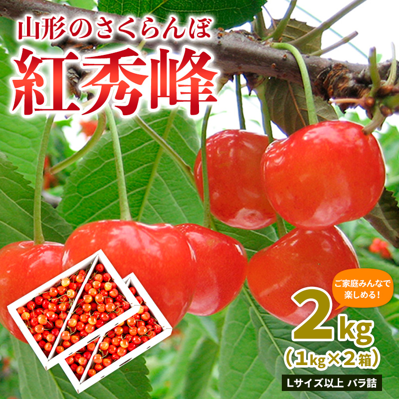 【ご家庭みんなで楽しめる！2kg】山形のさくらんぼ 紅秀峰 2kg Lサイズ以上 バラ詰 (1kg×2箱) 【令和8年産先行予約】FS25-010