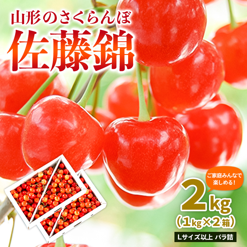 【ご家庭みんなで楽しめる！2kg】山形のさくらんぼ 佐藤錦 2kg Lサイズ以上 バラ詰 (1kg×2箱) 【令和8年産先行予約】FS25-011