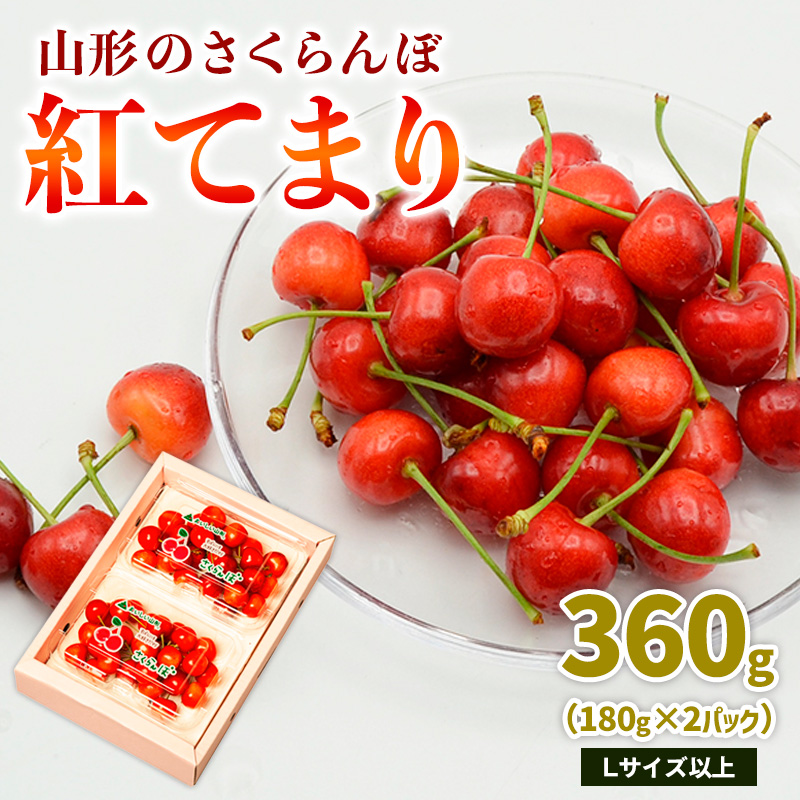 山形のさくらんぼ 紅てまり 360g Lサイズ以上 (180g×2パック) 【令和8年産先行予約】FS25-016