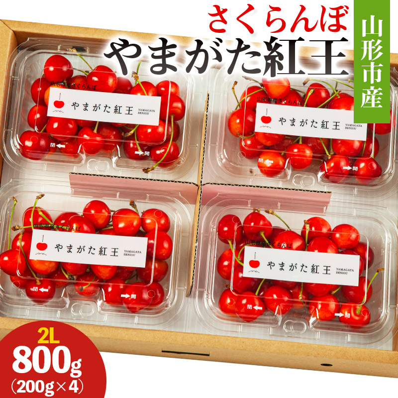 山形市産 さくらんぼ(やまがた紅王)2L 800g(200g×4) 【令和8年産先行予約】FS25-026
