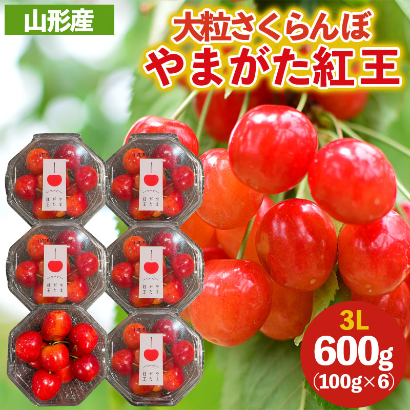 大粒のさくらんぼ「やまがた紅王」3Lサイズ 600g (100×６パック入り) 【令和8年産先行予約】FS25-032