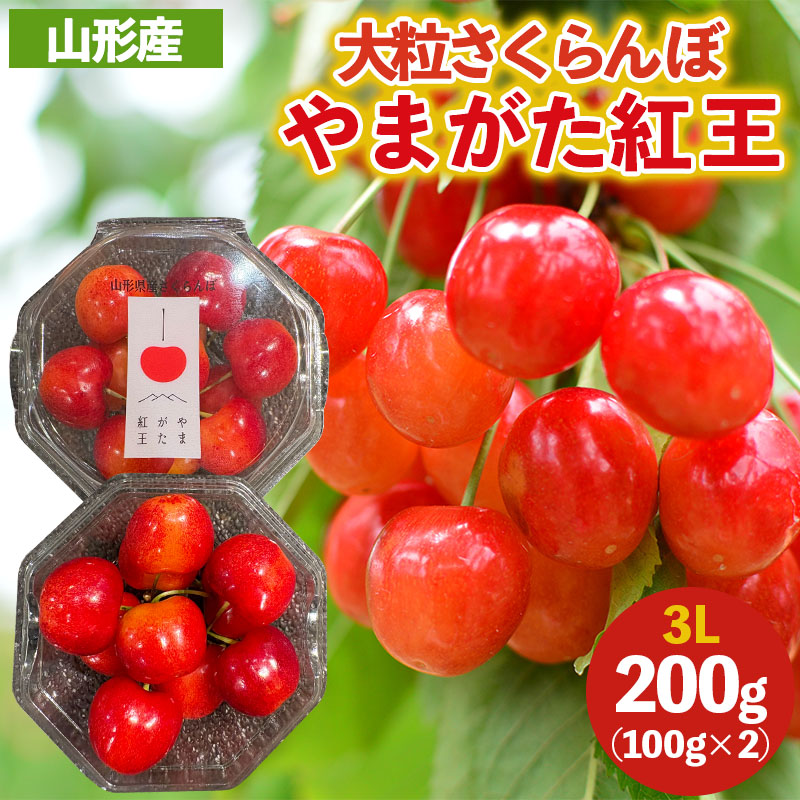 大粒のさくらんぼ やまがた紅王 3Lサイズ 200g (100g×2パック入り) 【令和8年産先行予約】FS25-038
