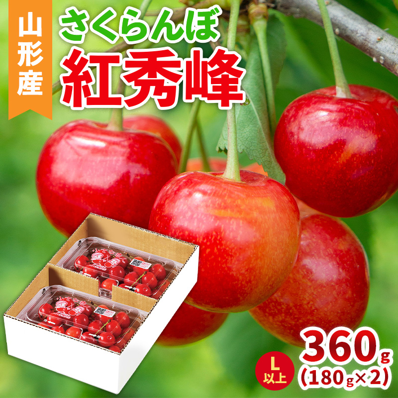 山形産 さくらんぼ(紅秀峰) L以上 360g(180g×2パック)  【令和8年産先行予約】FS25-040