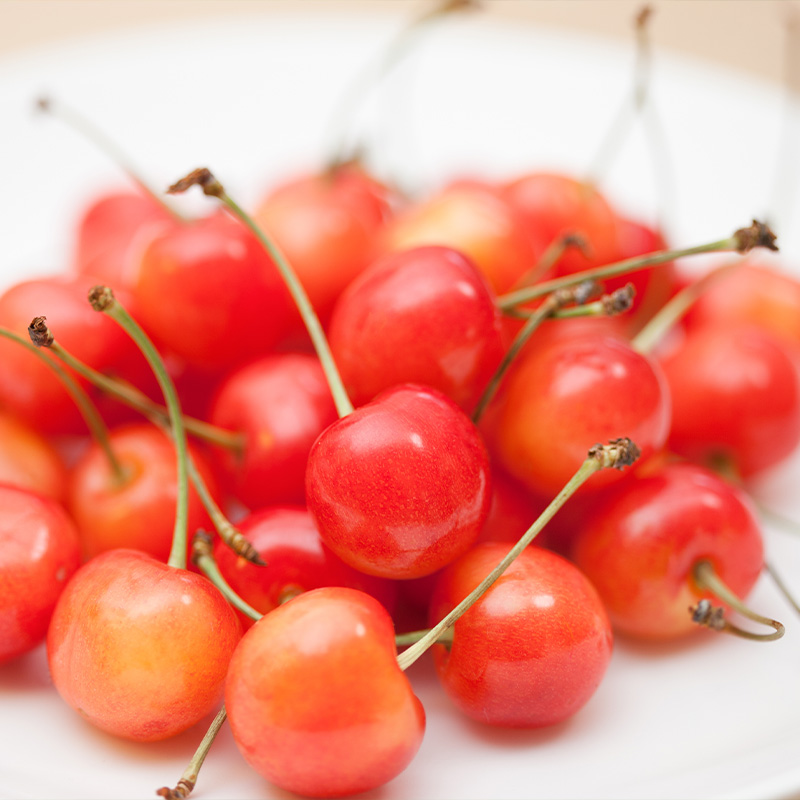 さくらんぼ(紅秀峰)Lサイズ以上 720g(180g×4パック) 【令和8年産先行予約】FS25-042