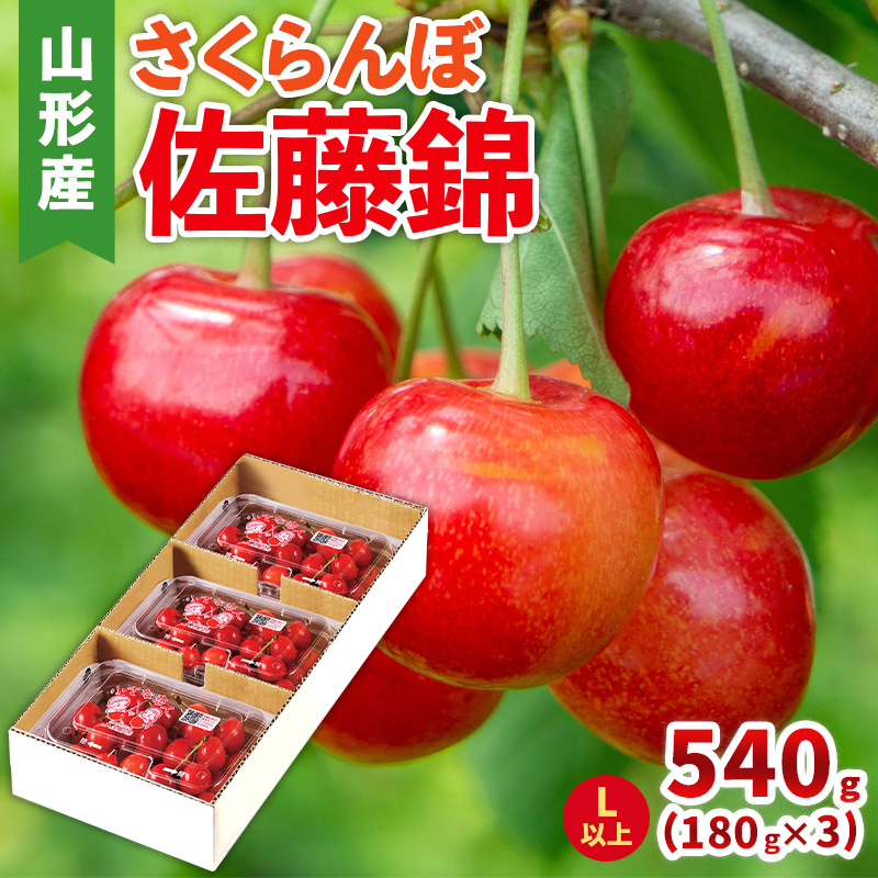 さくらんぼ(佐藤錦) Lサイズ 540g(180g×3パック) 【令和8年産先行予約】FS25-045