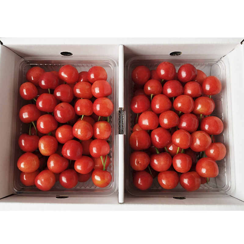 山形市産 さくらんぼ【紅秀峰】2Lサイズ 約700g  【令和8年産先行予約】FS25-052