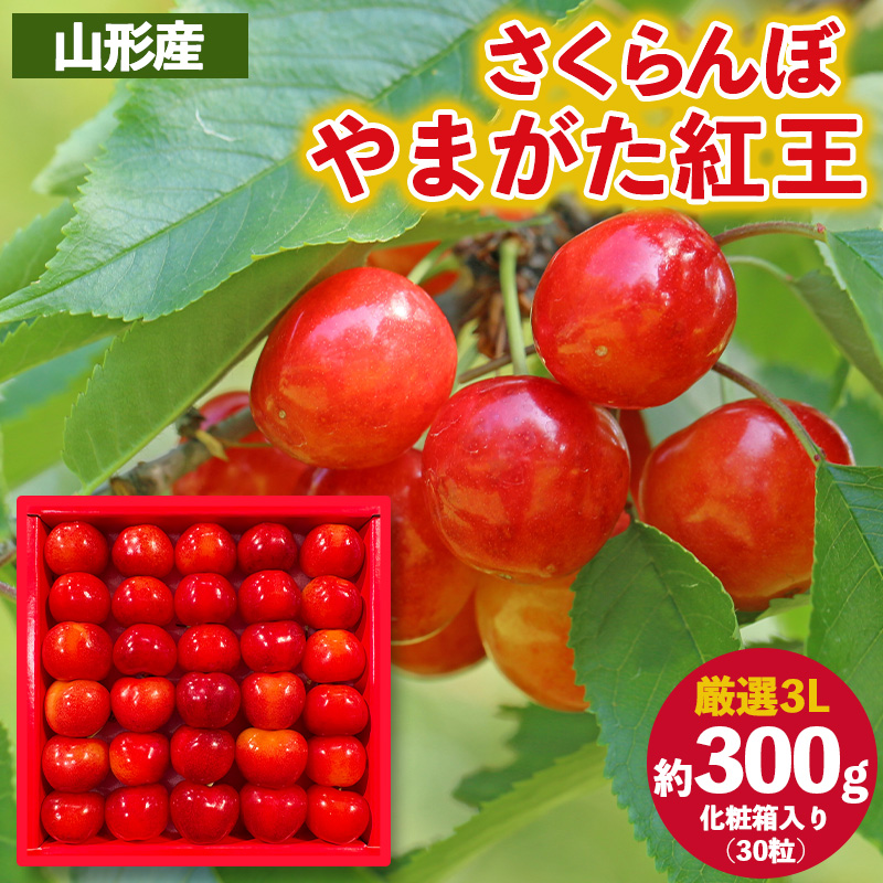 さくらんぼ ”やまがた紅王” 厳選 3Lサイズ 30粒 化粧箱入り(約300g) 【令和8年産先行予約】FS25-056