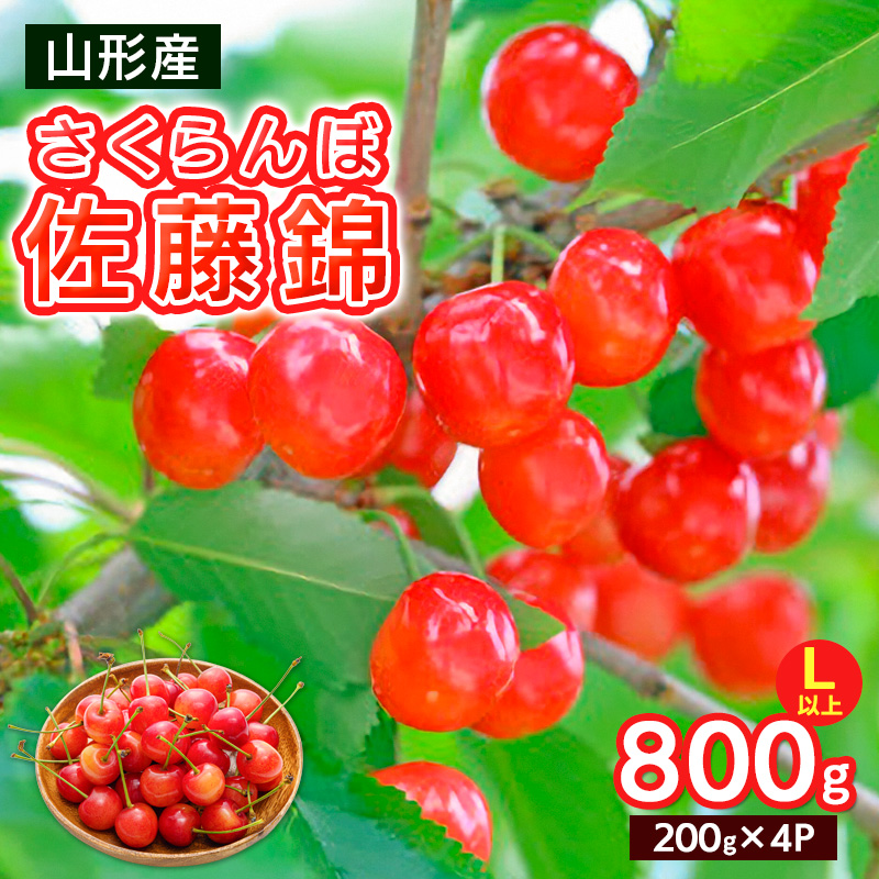 さくらんぼ Lサイズ以上 佐藤錦 800g(200g×4パック)【令和8年産先行予約】FS25-066