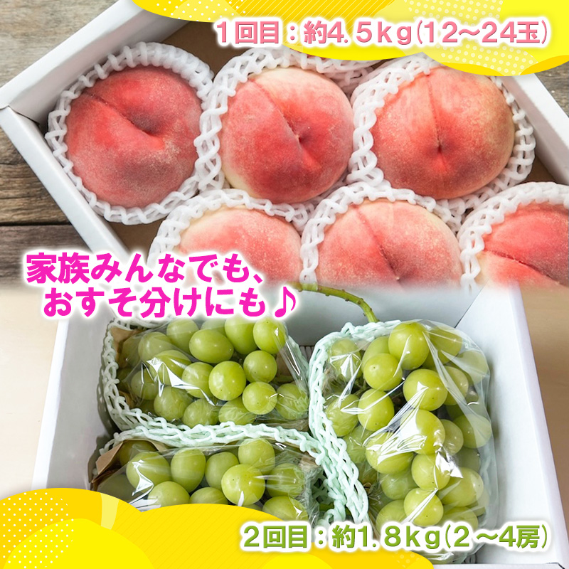 【定期便2回】山形の白桃4.5kgと大粒シャインマスカット1.8kg (2～4房) 山形直送便 満足便【令和8年産先行予約】FS25-075
