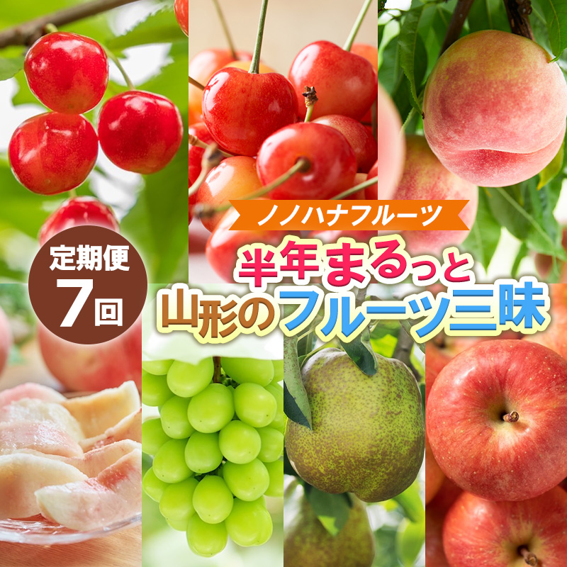 【定期便7回】ノノハナフルーツ 半年まるっと山形のフルーツ三昧 【令和8年産先行予約】FS25-076