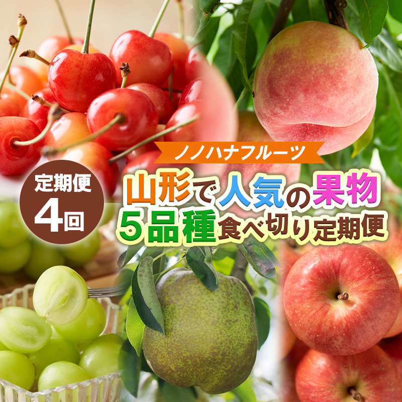 【定期便4回】ノノハナフルーツ 山形市で人気の果物５品種食べきり定期便【令和8年産先行予約】FS25-077