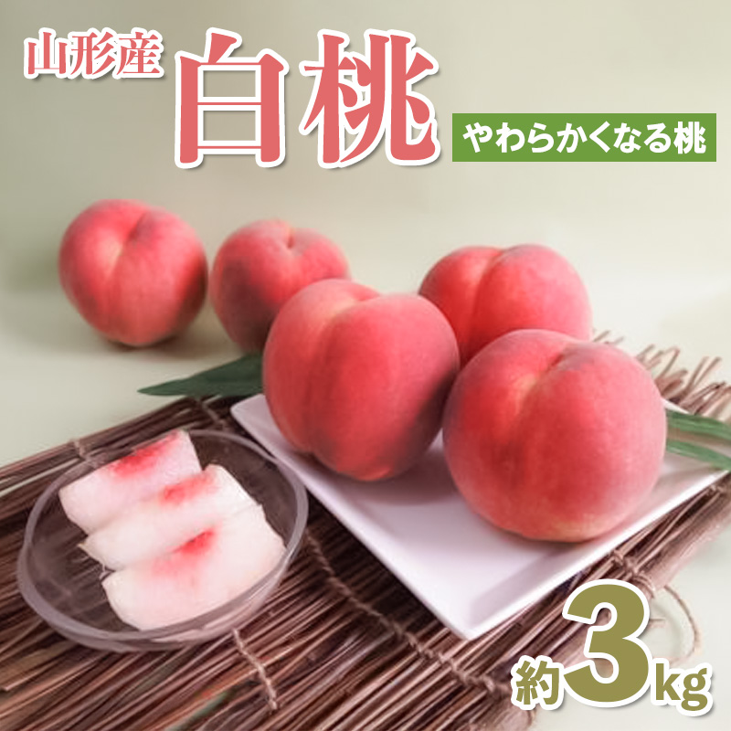 山形産 白桃約3kg(7～11玉) (やわらかくなる桃) 【令和8年産先行予約】FS25-081