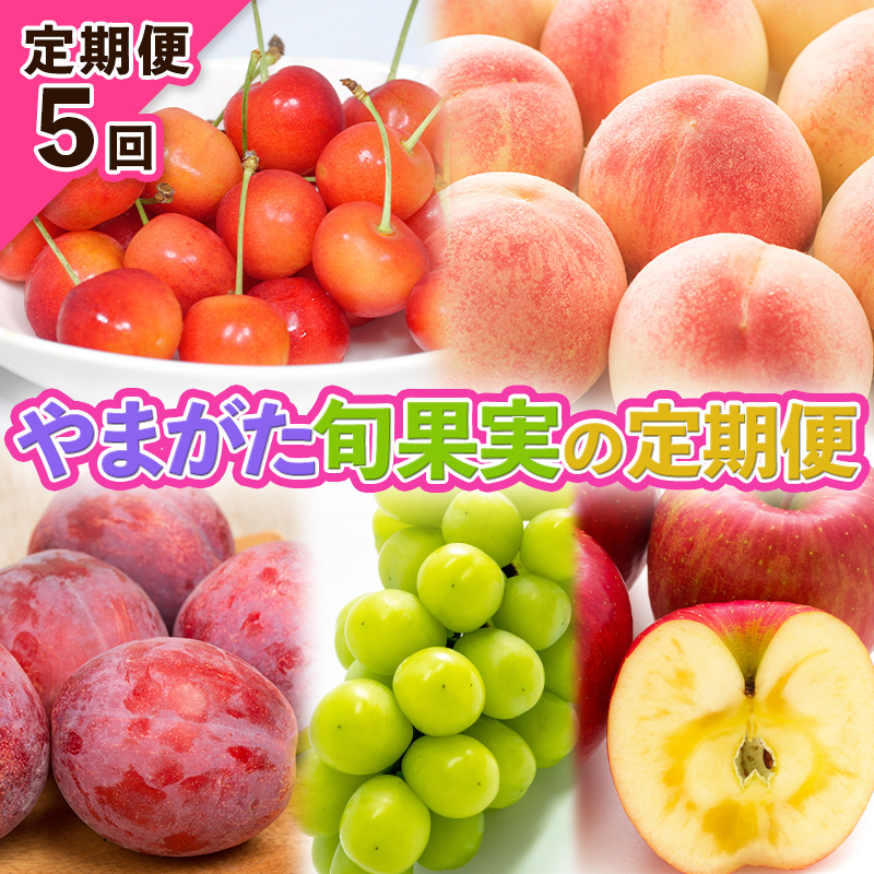 【定期便5回】やまがた旬果実の定期便【令和8年産先行予約】FS25-091