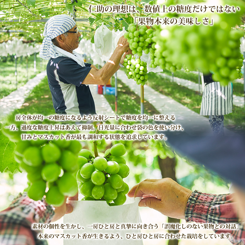 山形市産 シャインマスカット 特秀 1房 800g以上【前半】  FZ21-909