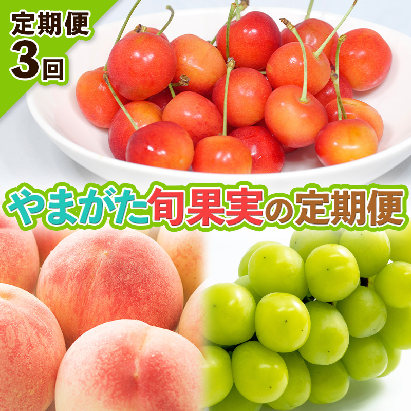 【定期便3回】やまがた旬果実の定期便【令和8年産先行予約】FS25-092