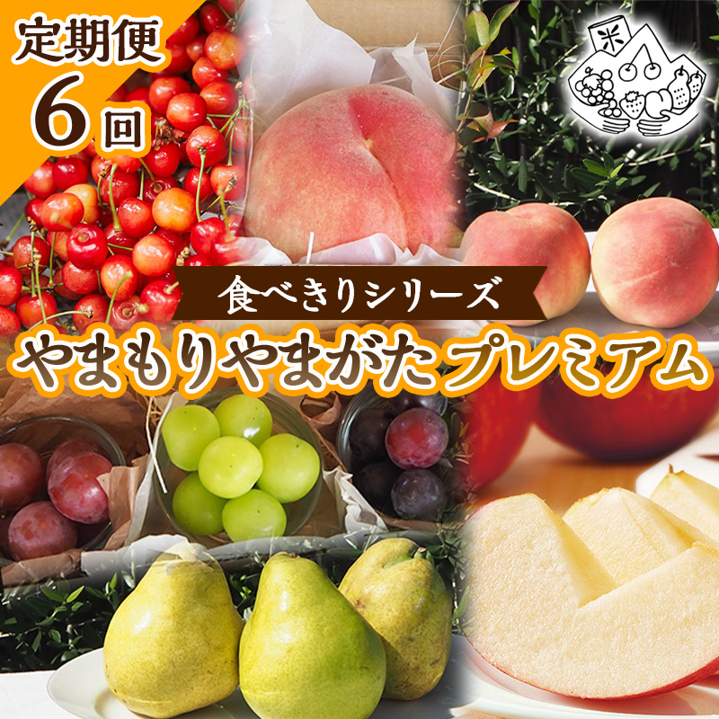 【定期便6回】★食べきりシリーズ★やまもりやまがたプレミアム【令和8年産先行予約】FS25-105 くだもの 果物 フルーツ 山形 山形県 山形市 2026年産
