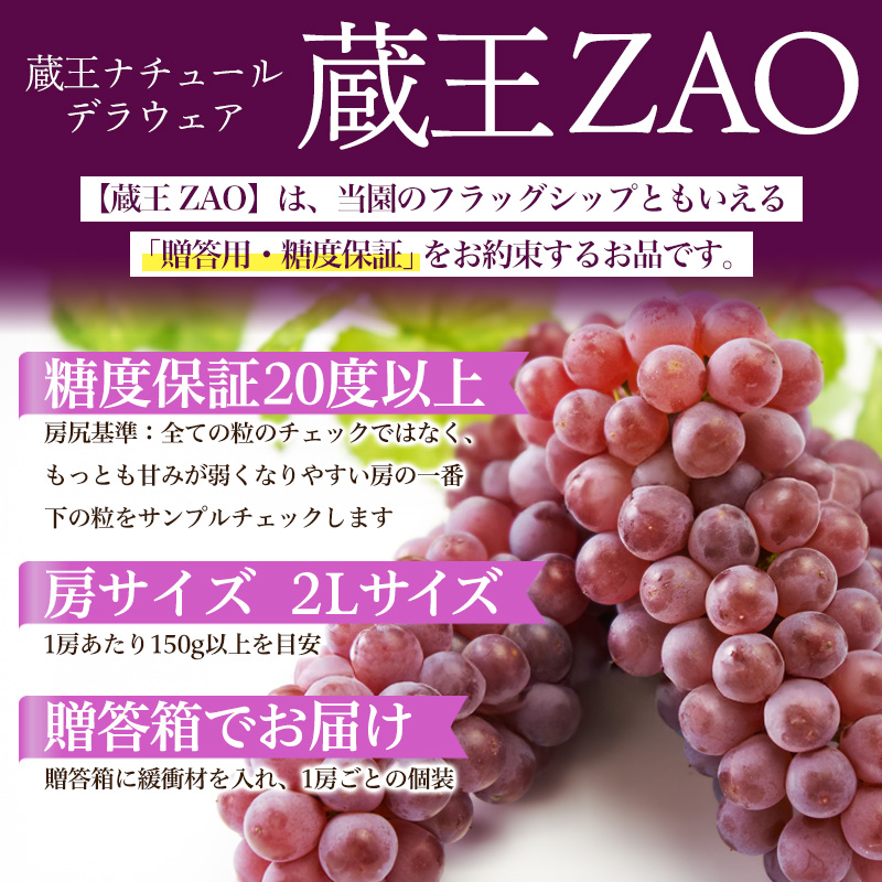 【蔵王 ZAO】蔵王ナチュールデラウェア 山形のデラウエア TAKUMI ORCHARD 99% 贈答 2L以上 糖度保証 約1kg 山形 山形県 山形市 フルーツ 果物 くだもの 送料無料 ぶどう 葡萄 ブドウ デラウェア 減農薬【令和8年産先行予約】FS25-117