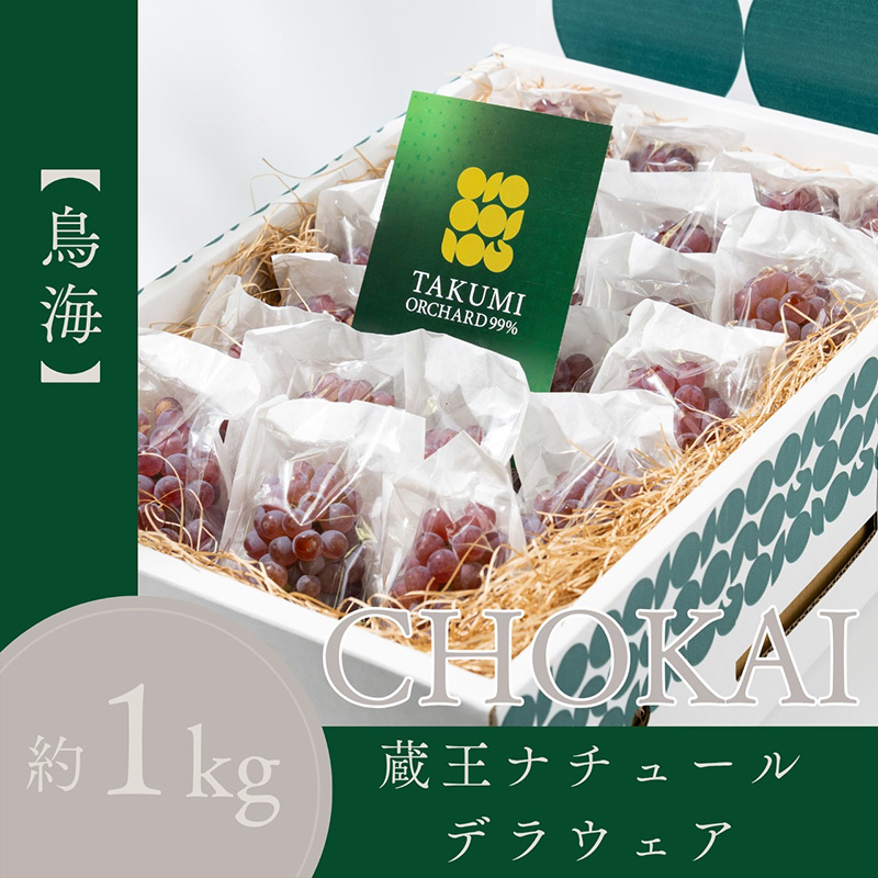 【鳥海 CHOKAI】蔵王ナチュールデラウェア 山形のデラウエア TAKUMI ORCHARD 99% ご家庭 M以上房サイズ混合 約1kg 山形 山形県 山形市 フルーツ 果物 くだもの 送料無料 ぶどう 葡萄 ブドウ デラウェア 減農薬【令和8年産先行予約】FS25-121