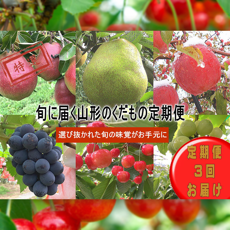 【定期便3回】旬に届く山形のくだもの定期便【令和8年産先行予約】FS25-130