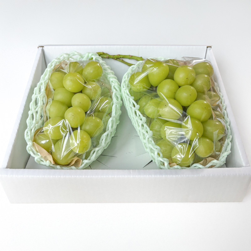 はじける美味しさ！山形の朝どりシャインマスカット 800g～1kg 1～2房【令和8年産先行予約】FS25-134