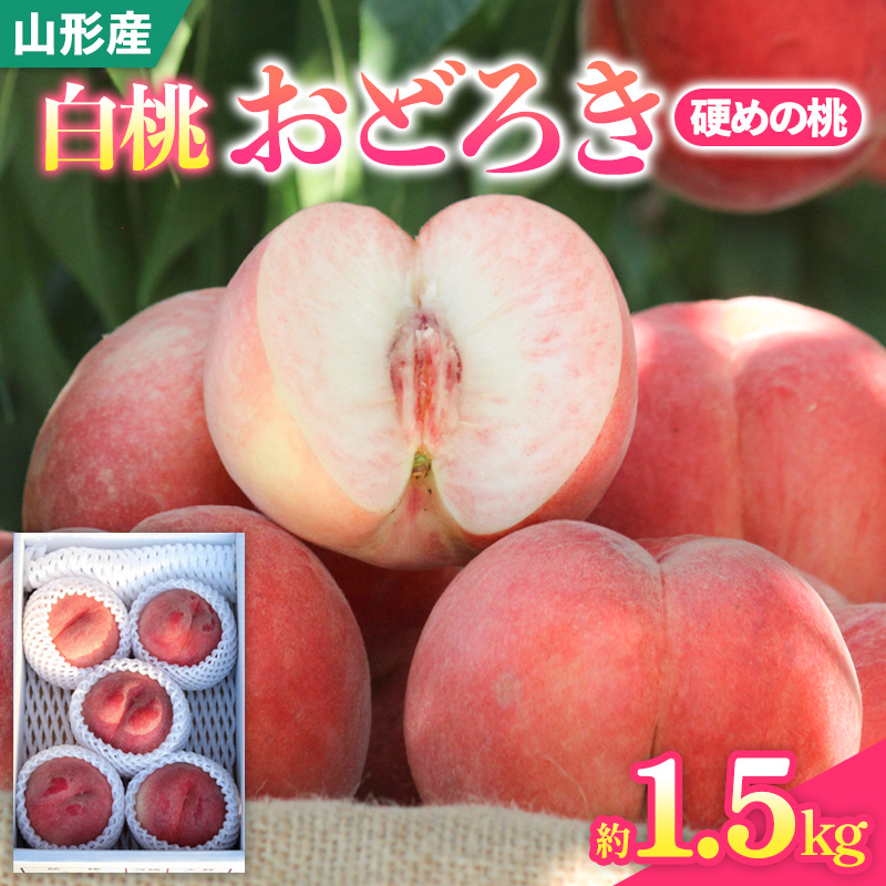 山形県産白桃おどろき 約1.5kg[硬めの桃]【令和8年産先行予約】FS25-148