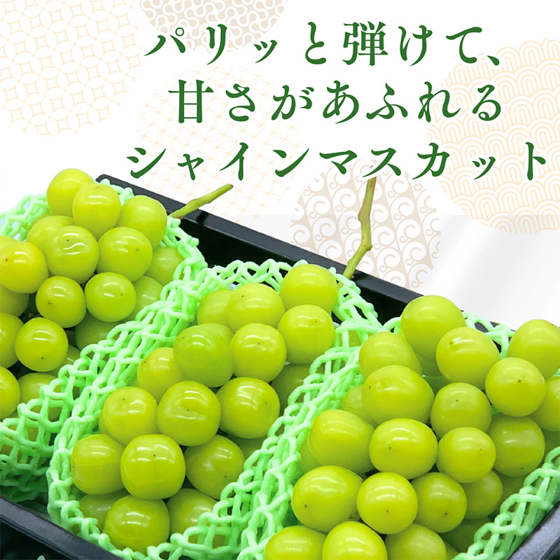 みちのく果実帖 シャインマスカット3房 約1.9kg 【令和8年産先行予約】FS25-151