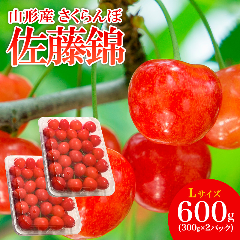 山形産 さくらんぼ 佐藤錦 L 600g(300g×2パック入) 【令和8年産先行予約】FS25-506
