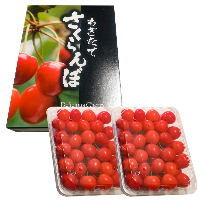 山形産 さくらんぼ 佐藤錦 L 600g(300g×2パック入) 【令和8年産先行予約】FS25-506