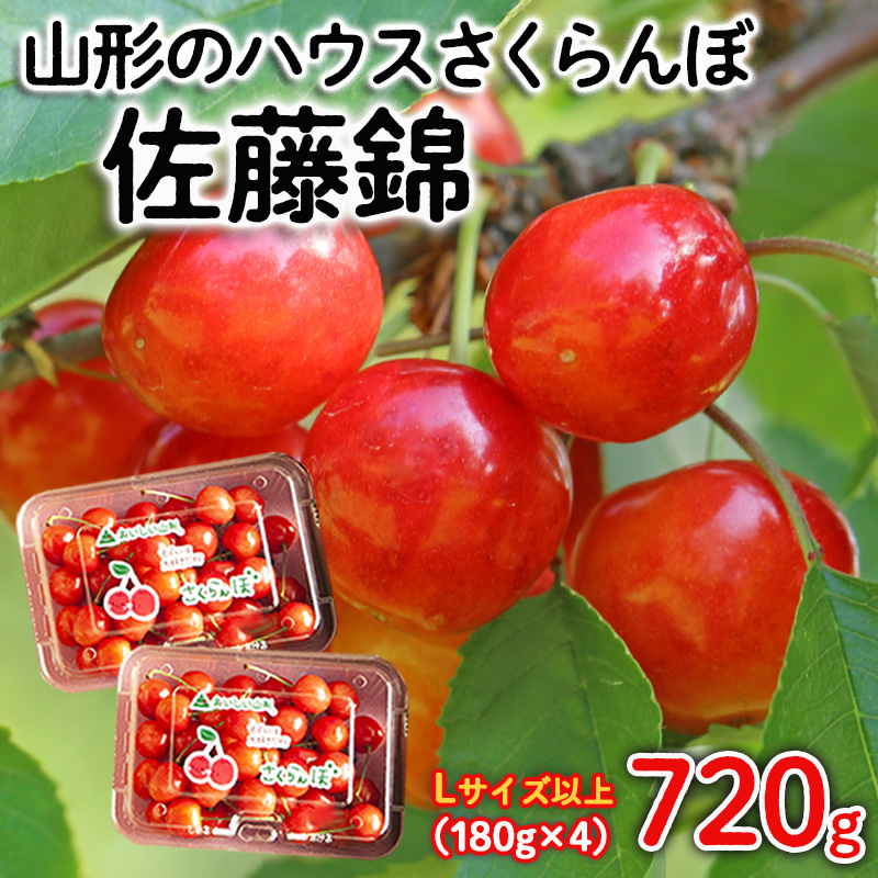 山形のハウスさくらんぼ 佐藤錦 720g(180g×4パック) Lサイズ以上 【令和8年産先行予約】FS25-510