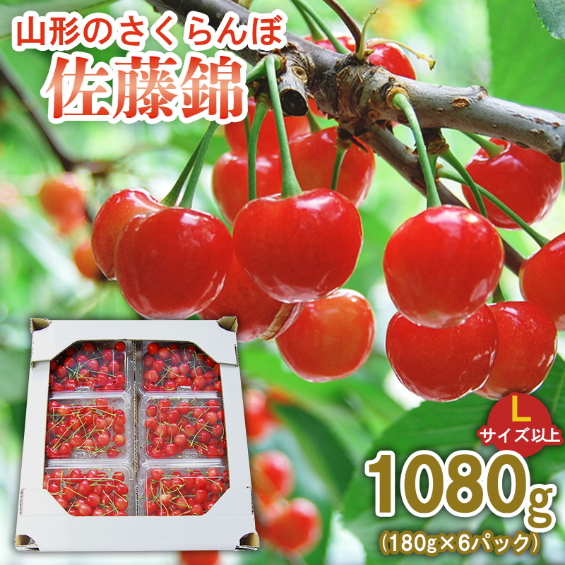 山形のさくらんぼ 佐藤錦 1080g (180g×6パック) Lサイズ以上 【令和8年産先行予約】FS25-514