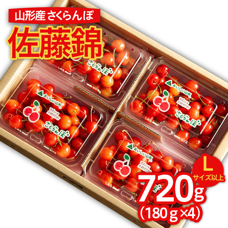 山形のさくらんぼ 佐藤錦 Lサイズ以上 720g (180g×4パック) 【令和8年産先行予約】FS25-516