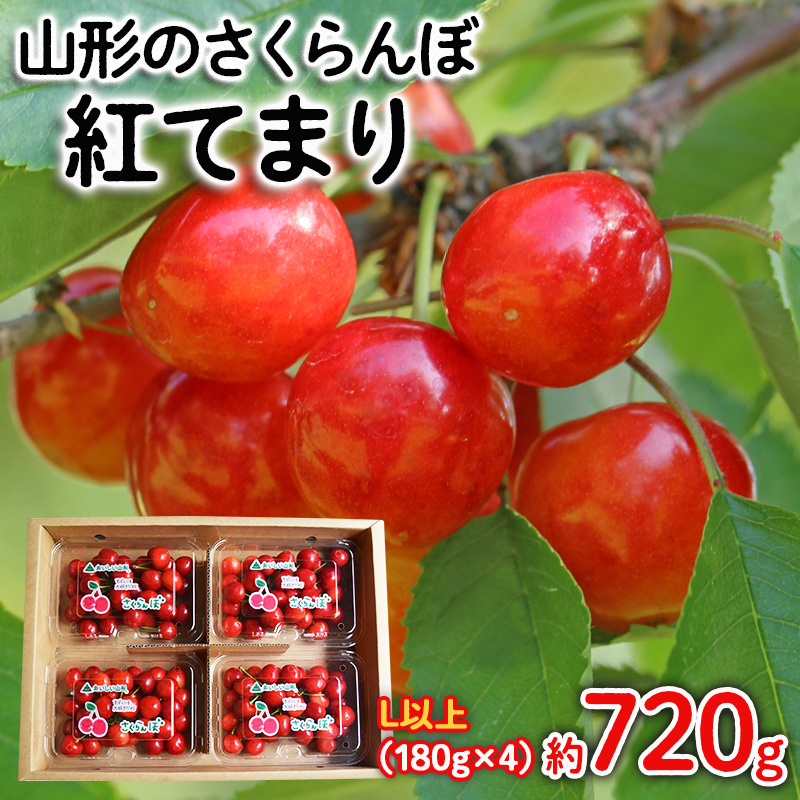 山形のさくらんぼ 紅てまり Lサイズ以上 720g(180g×4) 【令和8年産先行予約】FS25-524