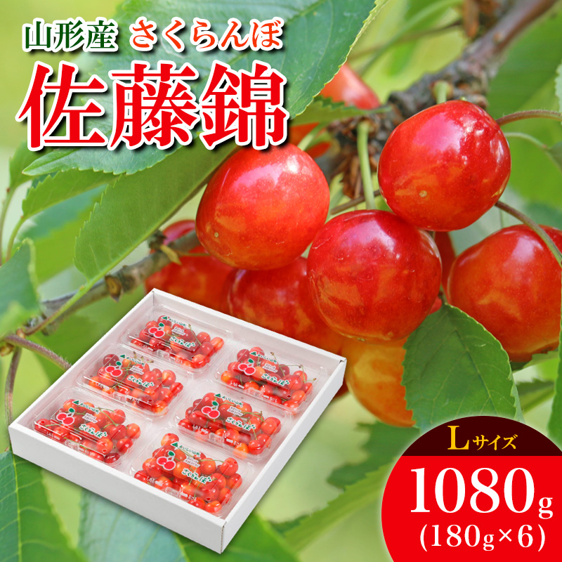 さくらんぼ 佐藤錦 Ｌ 1080g (180g×6パック) 【令和8年産先行予約】FS25-532