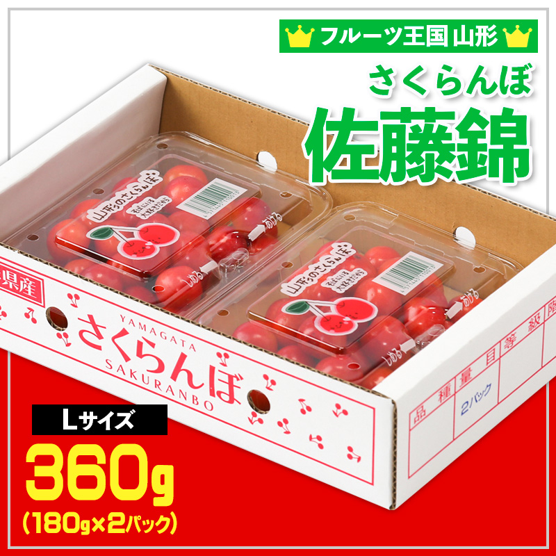 ☆フルーツ王国山形☆さくらんぼ 佐藤錦 Lサイズ 360g(180g×2パック) 【令和8年産先行予約】FS25-558