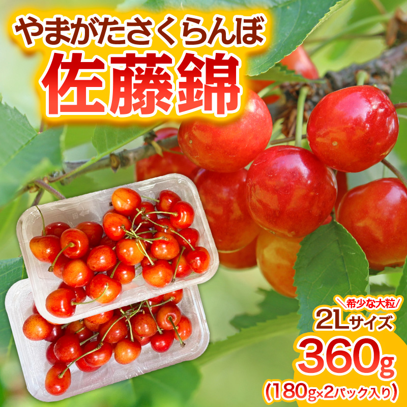 やまがた さくらんぼ 佐藤錦 "希少な大粒" 2Lサイズ 360g(180g×2パック入り) 1箱【令和8年産先行予約】FS25-573