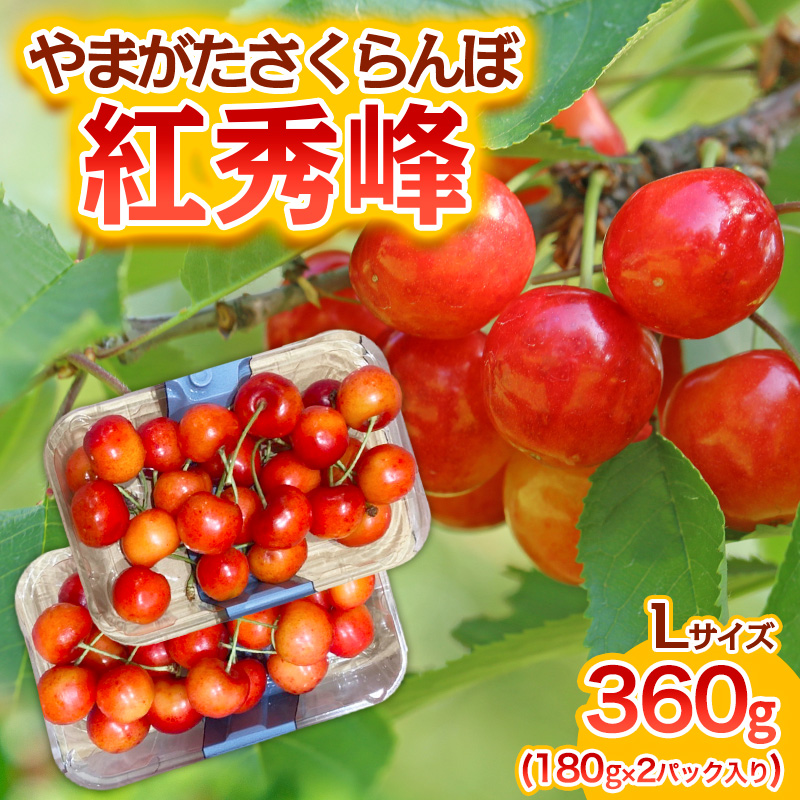 やまがた さくらんぼ 紅秀峰 Lサイズ 360g(180g×2パック入り) 1箱【令和8年産先行予約】FS25-575