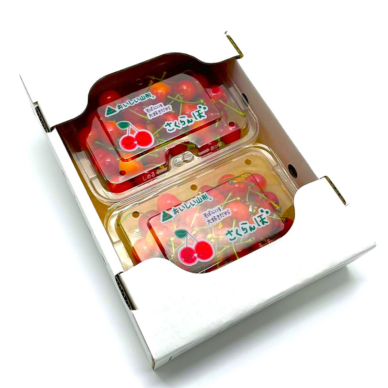 【定期便5回】フルーツ人気ランキング5便 【令和8年産先行予約】FS25-619