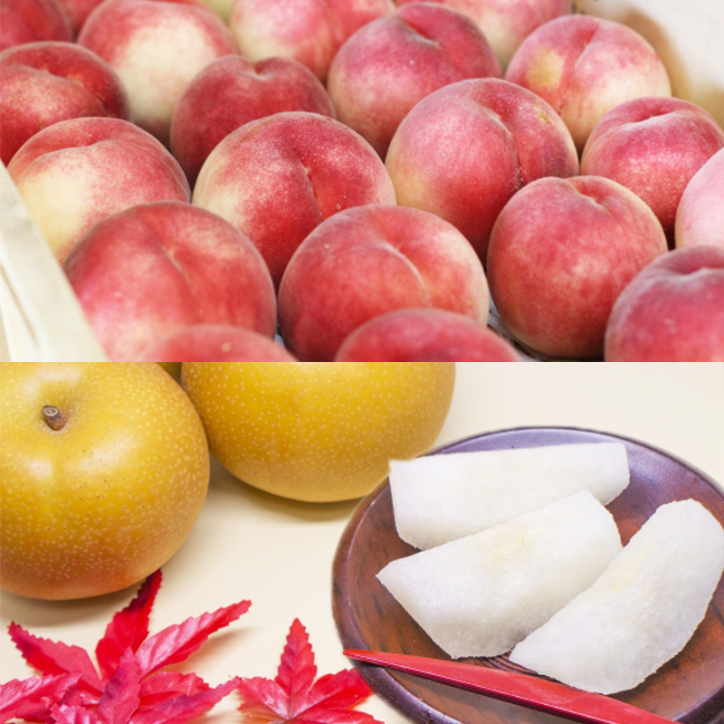 【定期便5回】フルーツ人気ランキング5便 【令和8年産先行予約】FS25-619