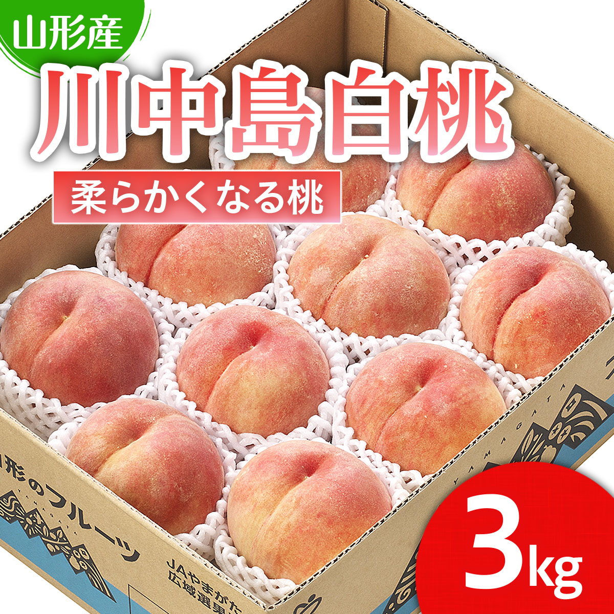 山形市産 桃「川中島白桃」 秀以上 3kg(8玉～11玉)[柔らかくなる桃] 【令和8年産先行予約】FS25-727