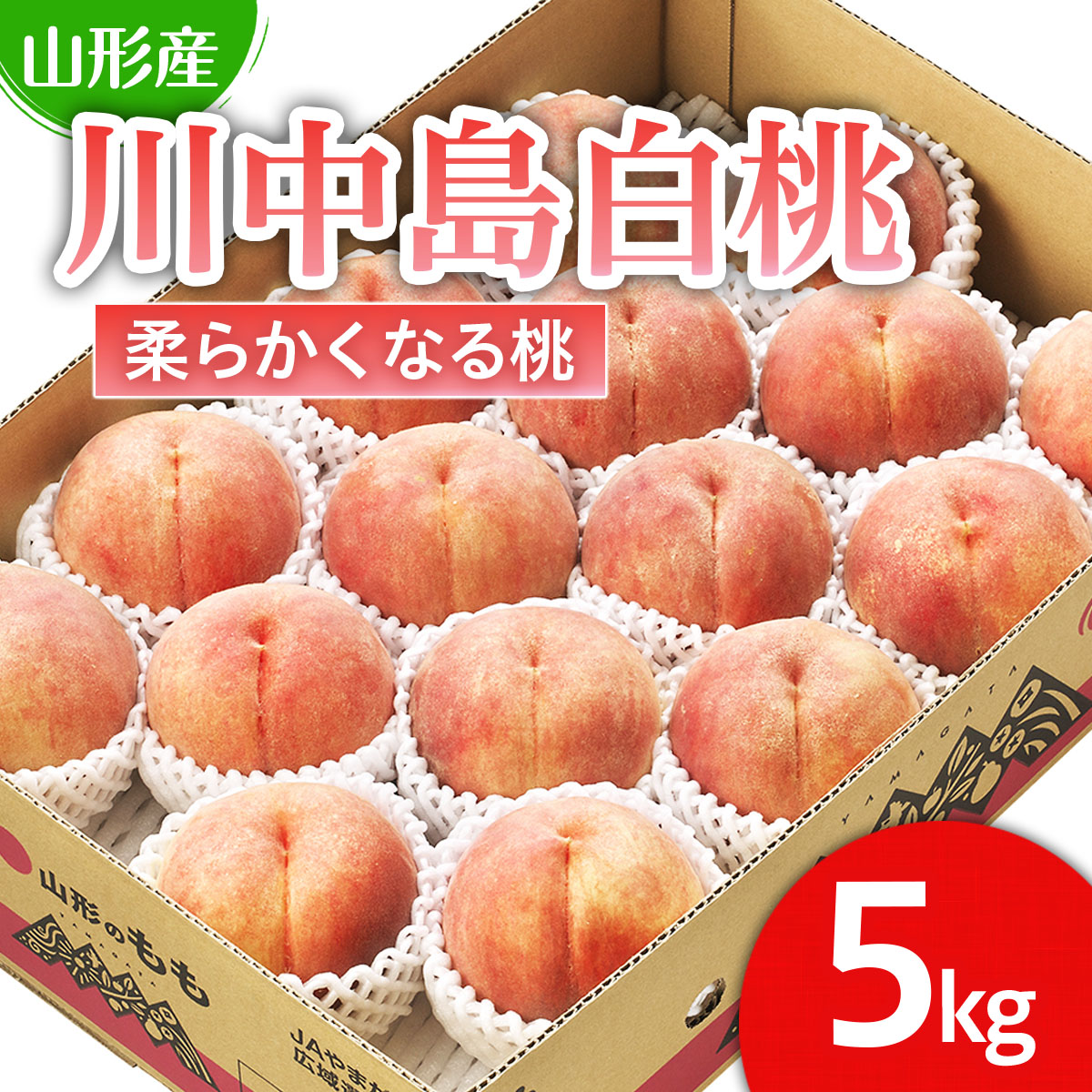 山形市産 桃「川中島白桃」 秀以上 5kg(13玉～18玉)[柔らかくなる桃] 【令和8年産先行予約】FS25-728
