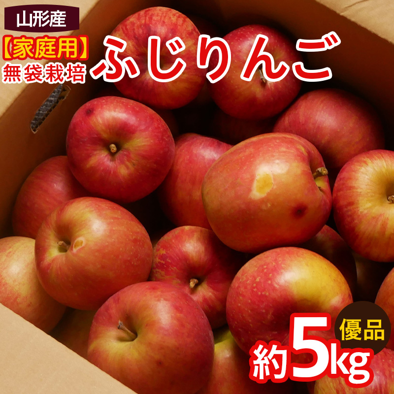 【家庭用】ふじりんご 優品 約5kg入り【令和8年産先行予約】FS25-760
