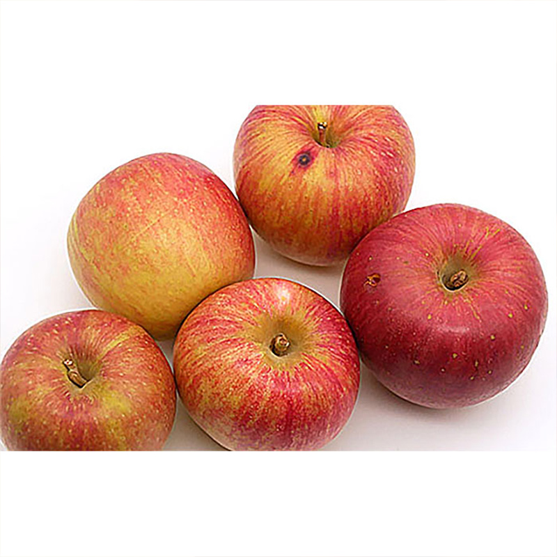 【家庭用】無袋栽培ふじりんご 優品 約10kg入り りんご リンゴ 林檎 フルーツ 果物 くだもの 10キロ 送料無料 山形【令和8年産先行予約】FS25-763