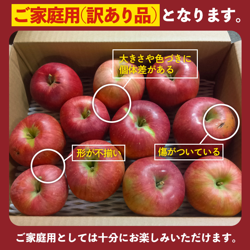 [家庭用]山形産 りんご (シナノスイート) 3kg(10月16日～10月31日頃)【令和8年産先行予約】FS25-769