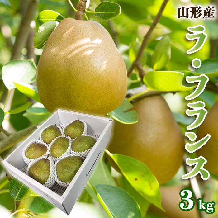 山形のラ・フランス 秀 約3kg(6～9玉 3L～6L)[11月発送]【令和8年産先行予約】FS25-778